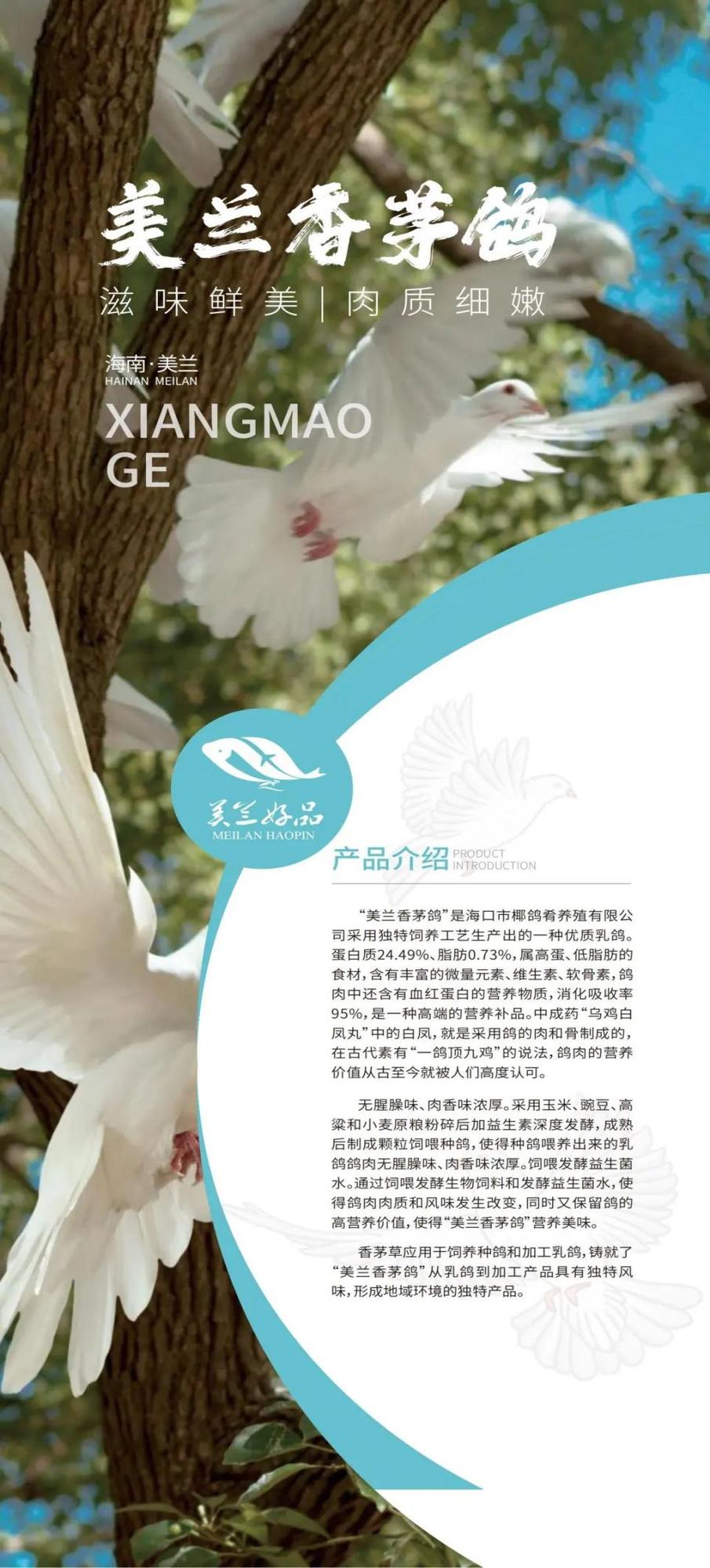 圖片2.jpg